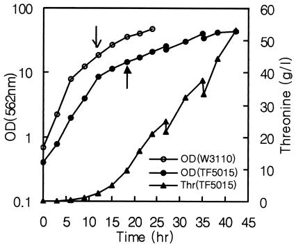 FIG. 2.