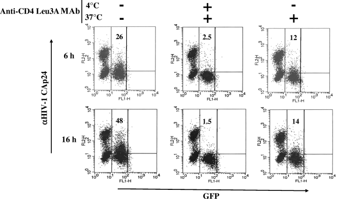 FIG. 6.