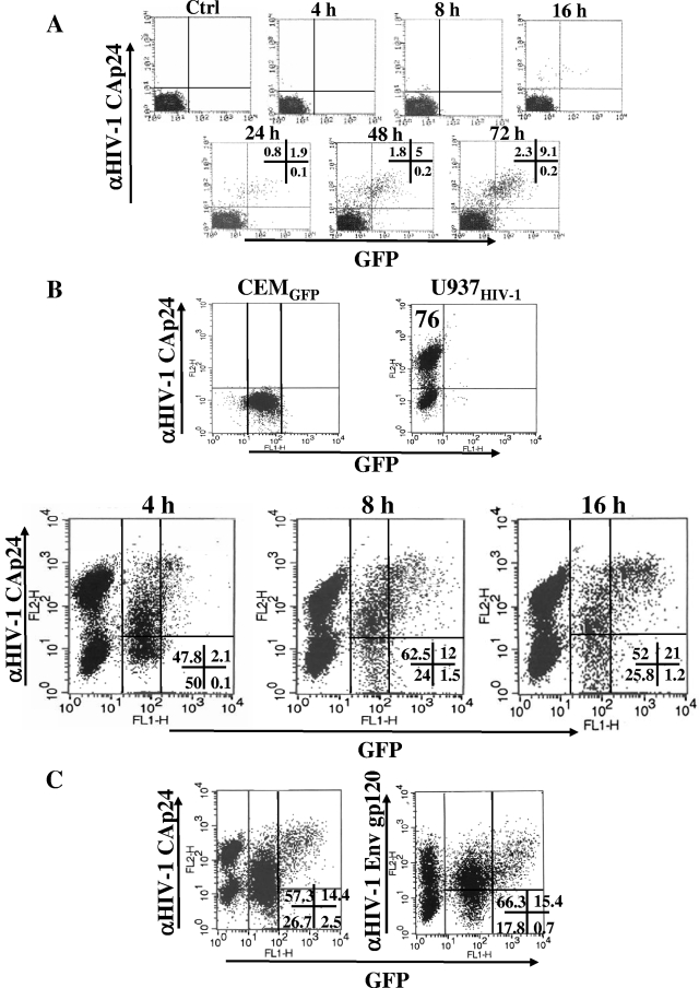 FIG. 1.