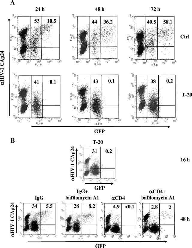 FIG. 9.