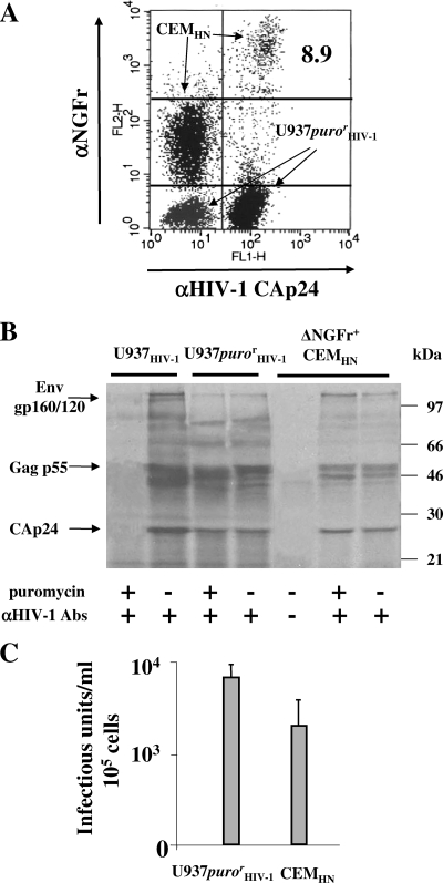 FIG. 8.