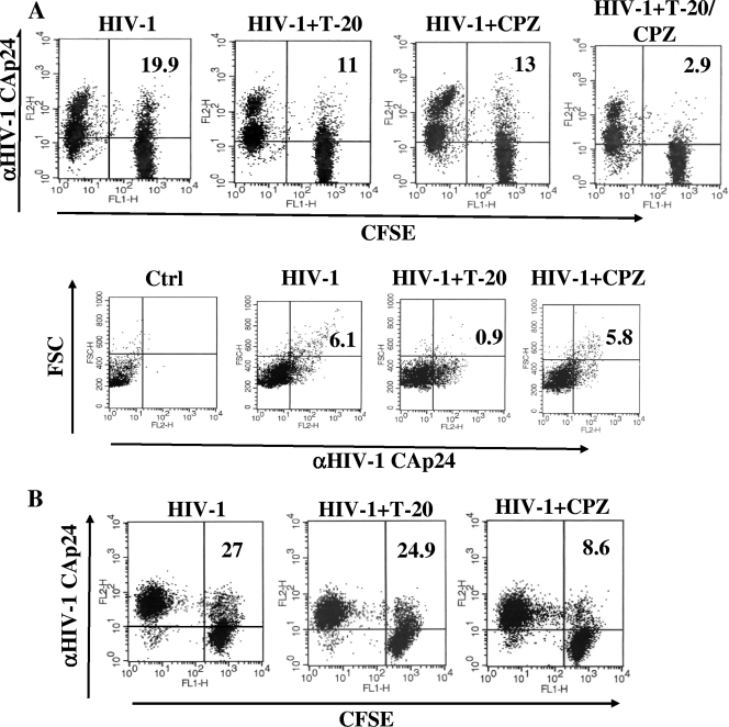 FIG. 7.