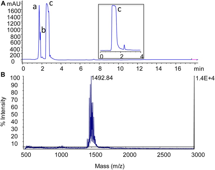 FIGURE 2