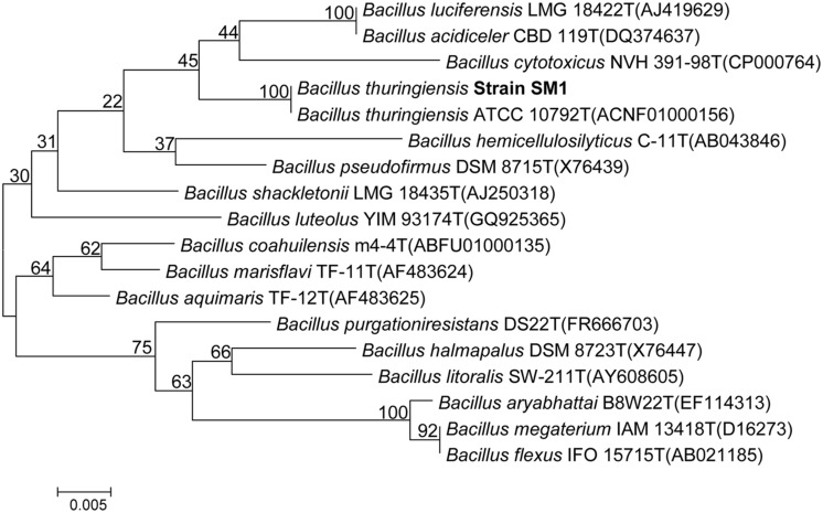 FIGURE 1