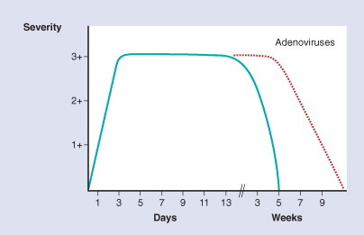 Figure 33-1