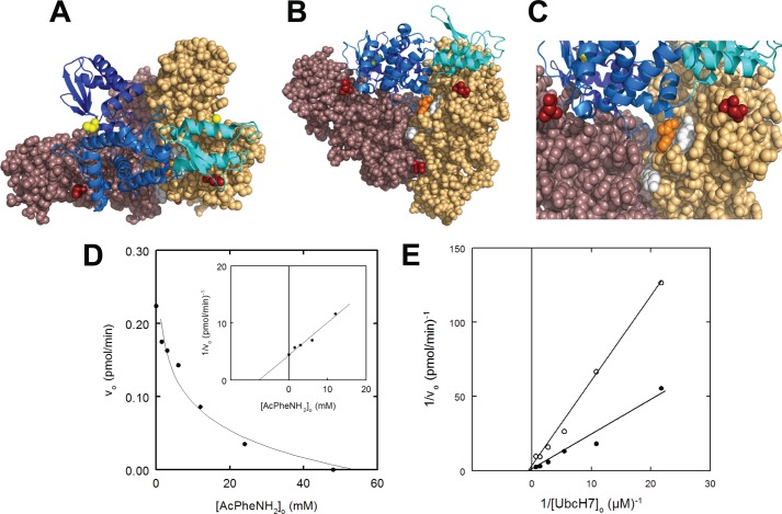 FIGURE 4.