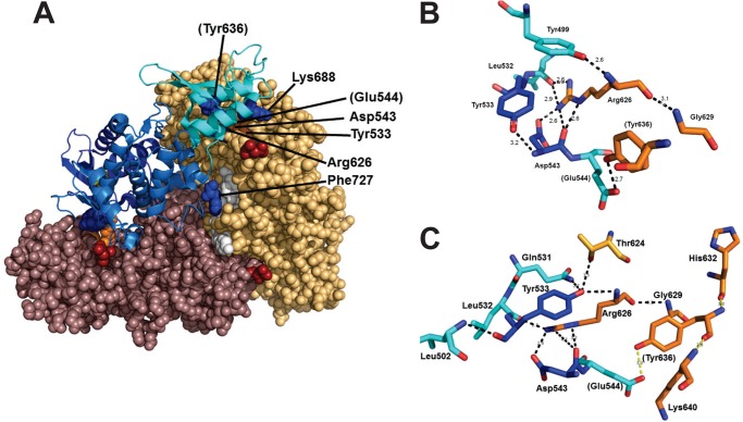 FIGURE 6.