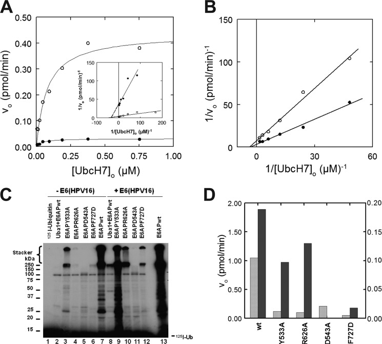 FIGURE 7.