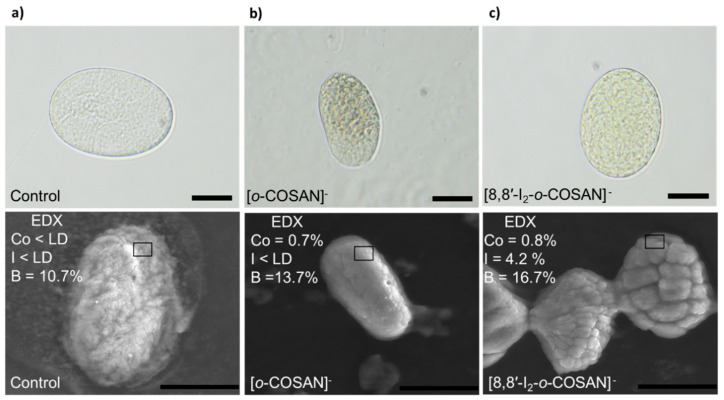 Figure 9