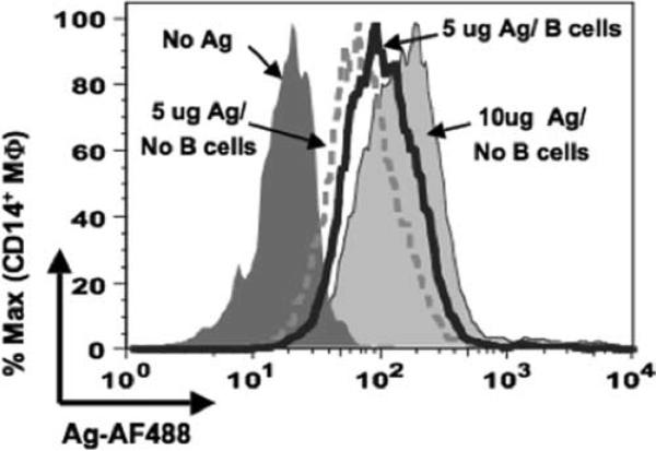 FIGURE 3