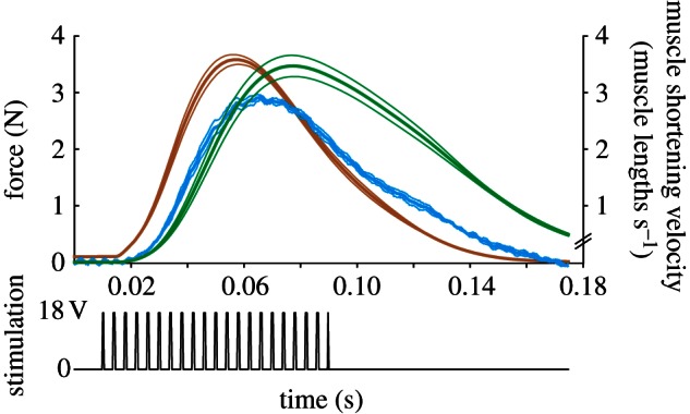 Figure 4.