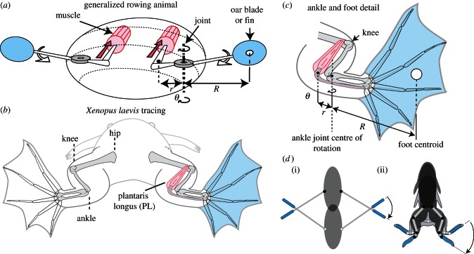 Figure 2.