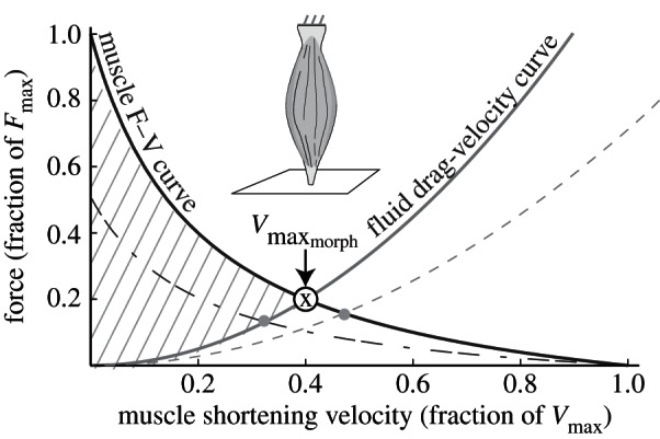 Figure 1.