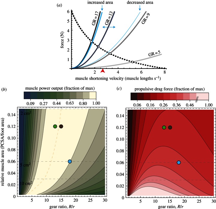 Figure 3.