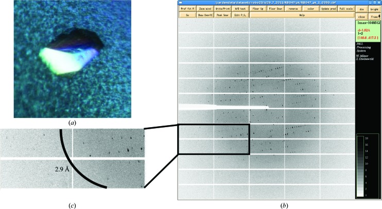 Figure 2