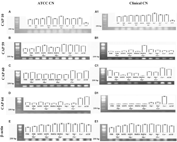 FIGURE 10