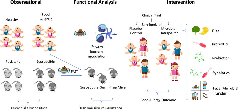 Figure 1: