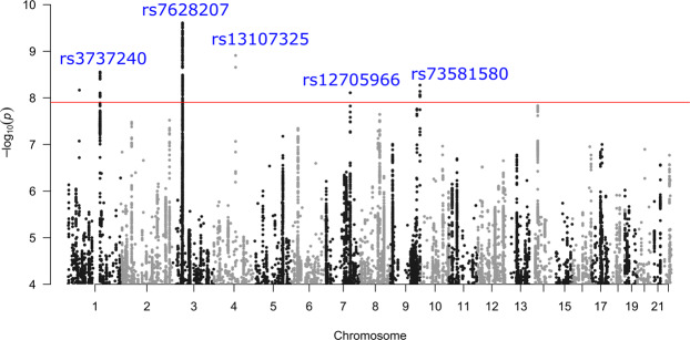 Fig. 3