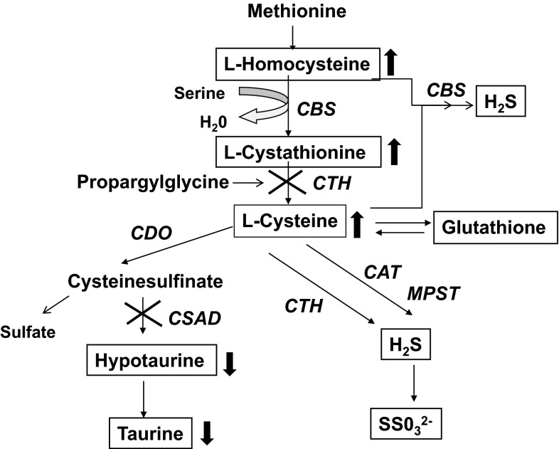 Fig. 7