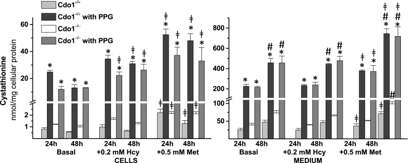 Fig. 4