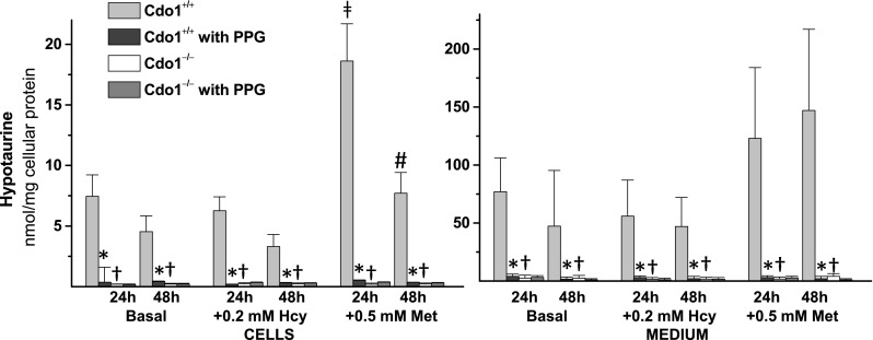 Fig. 3