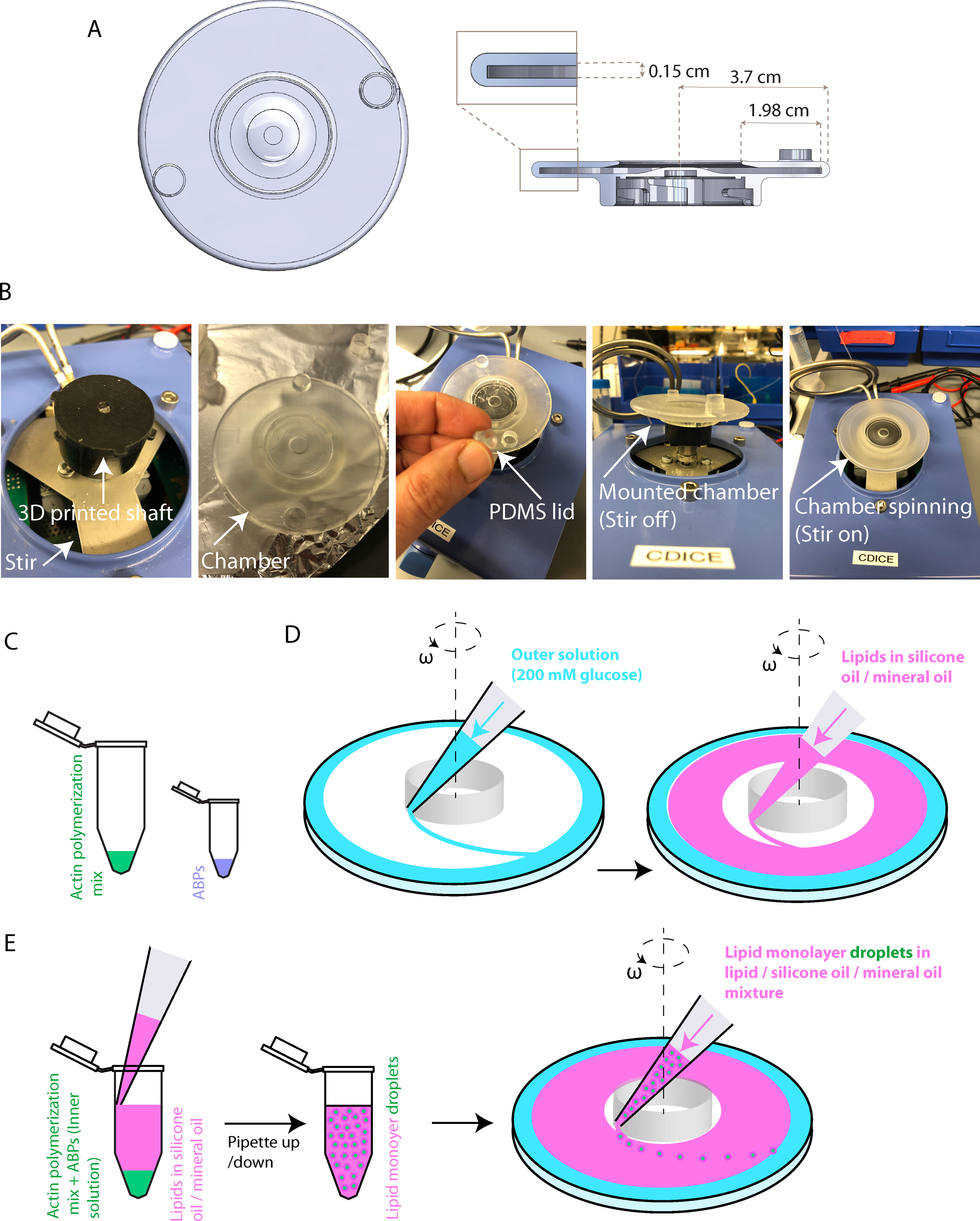 Figure 1: