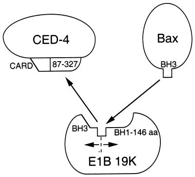FIG. 10