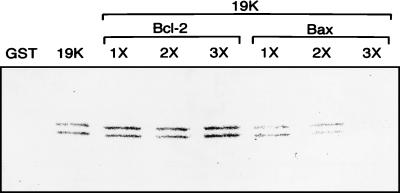 FIG. 8