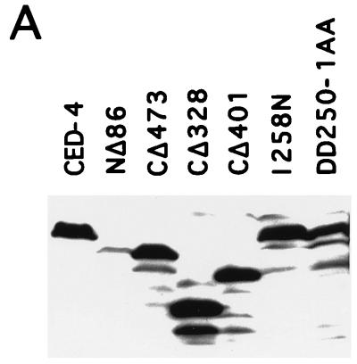 FIG. 5