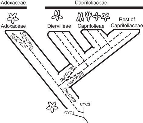 Fig. 1.