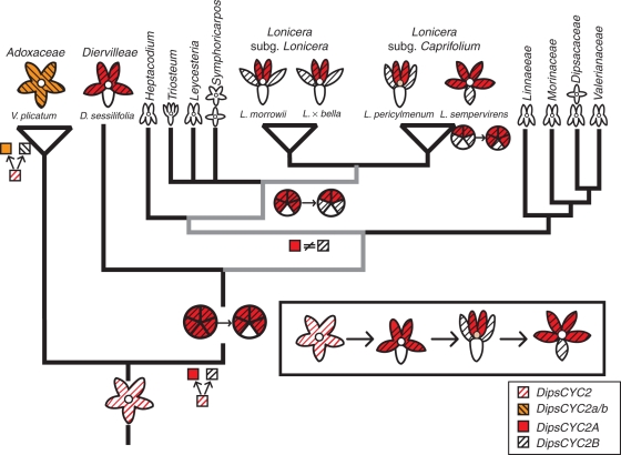 Fig. 9.