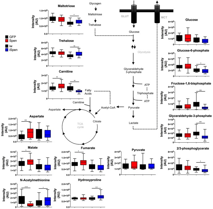 Fig 3