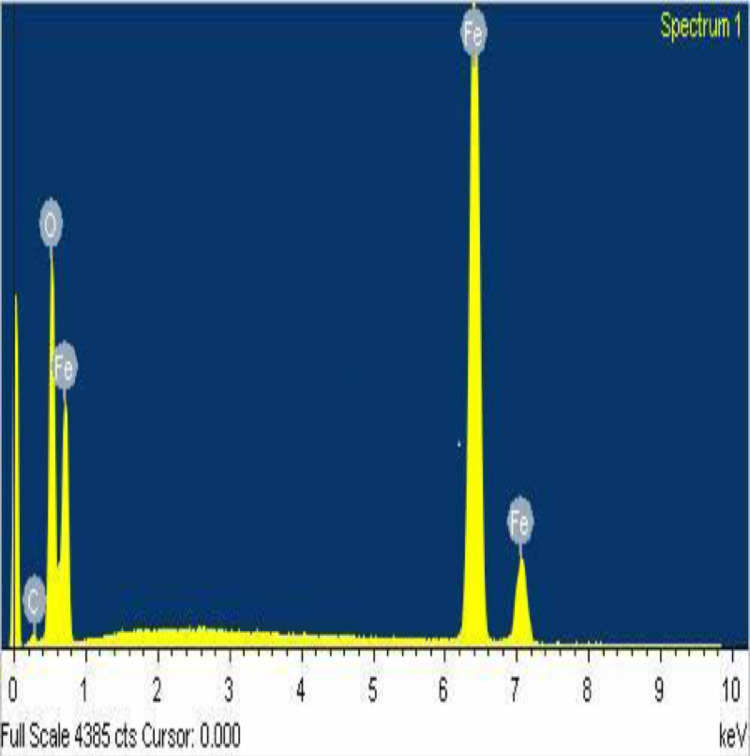 Fig 5