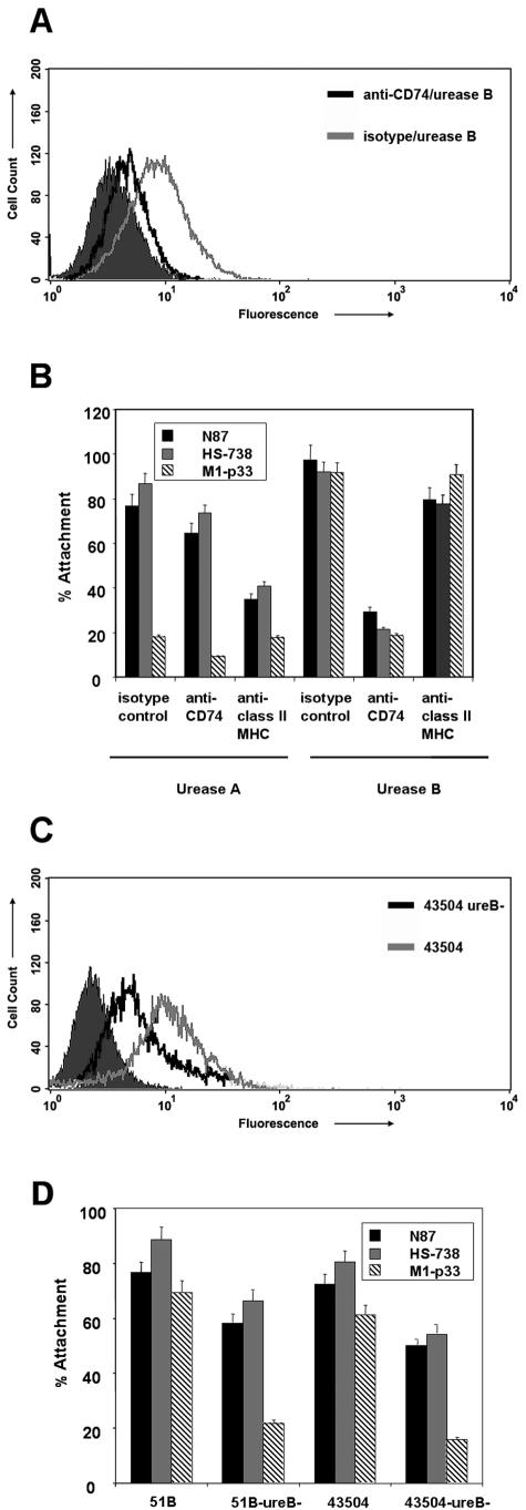 FIG.2.