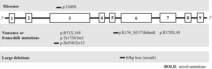 FIGURE 3