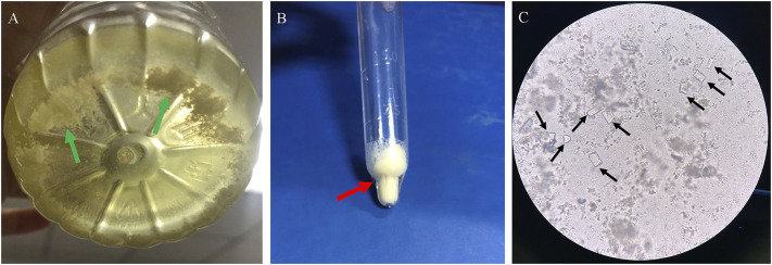 FIGURE 2