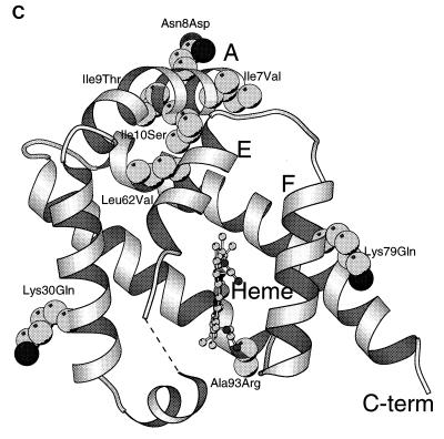 FIG. 5