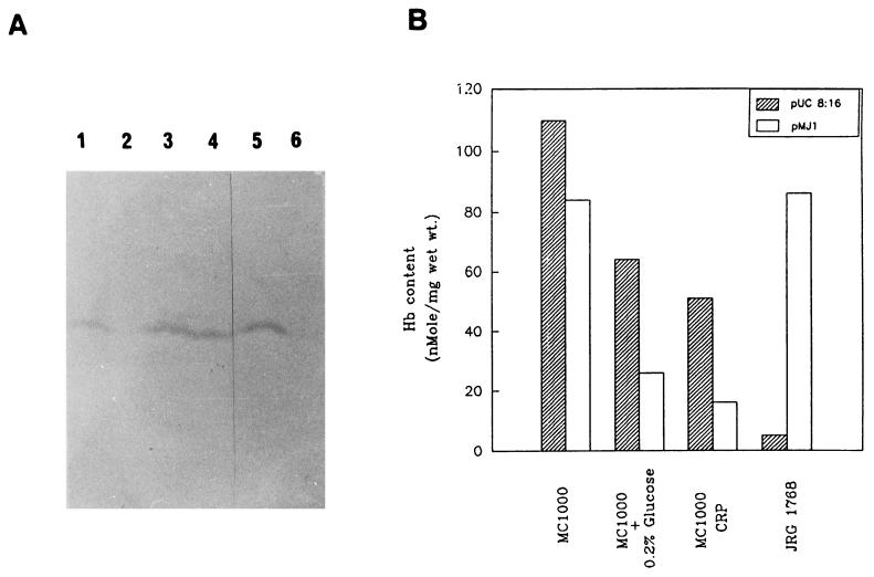 FIG. 6