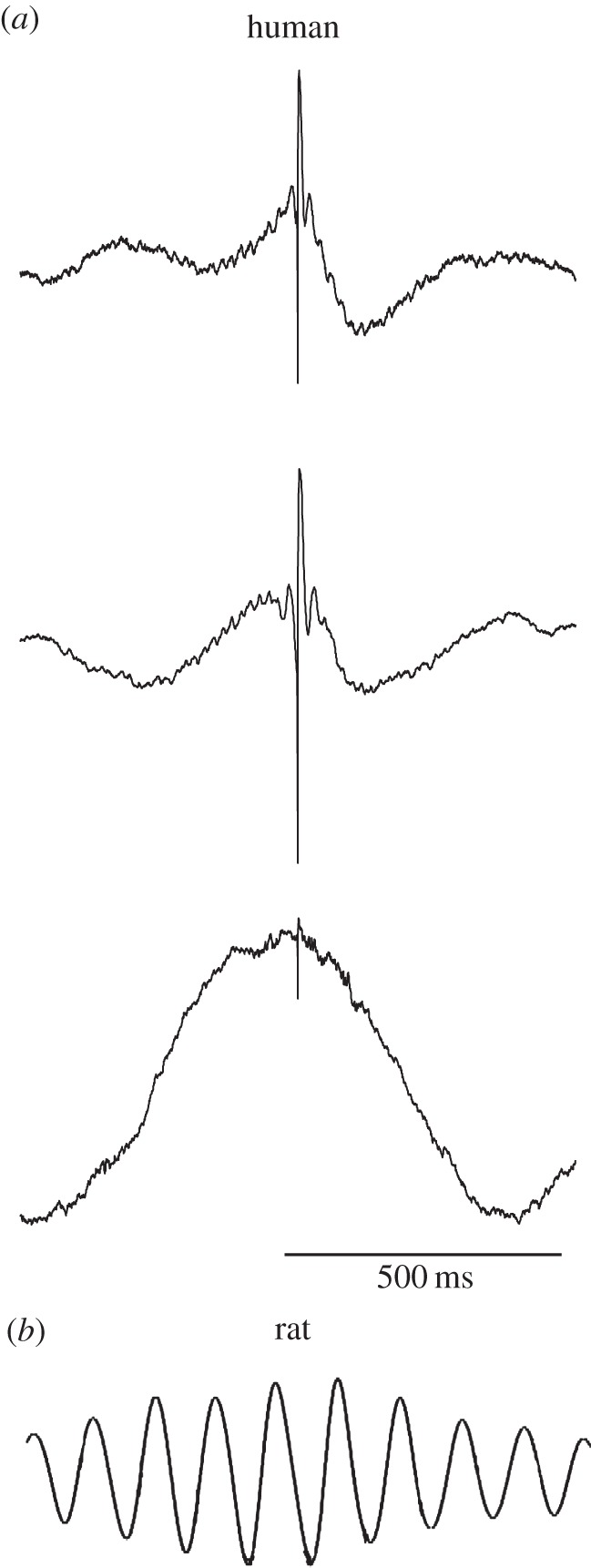 Figure 2.