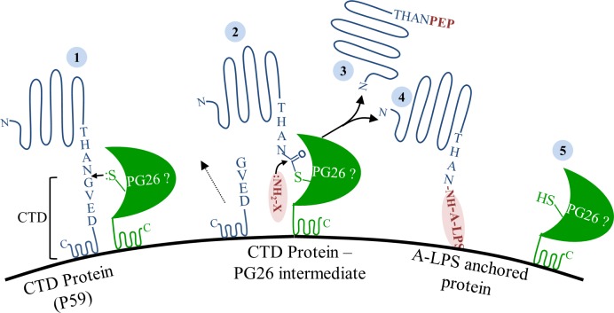 Fig 12