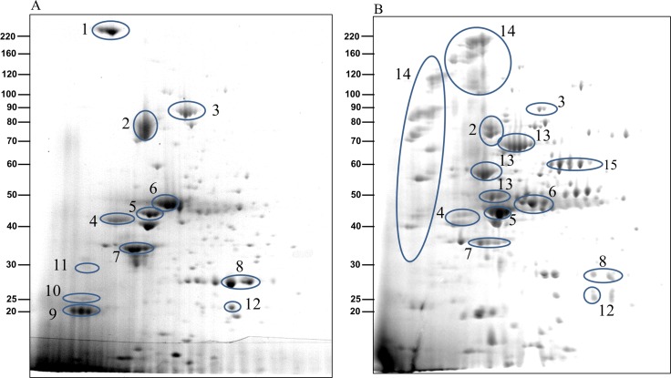 Fig 6