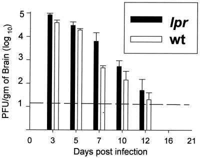 FIG. 1