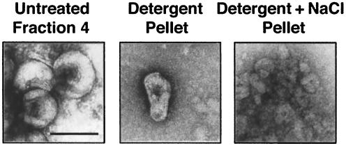 FIG. 8