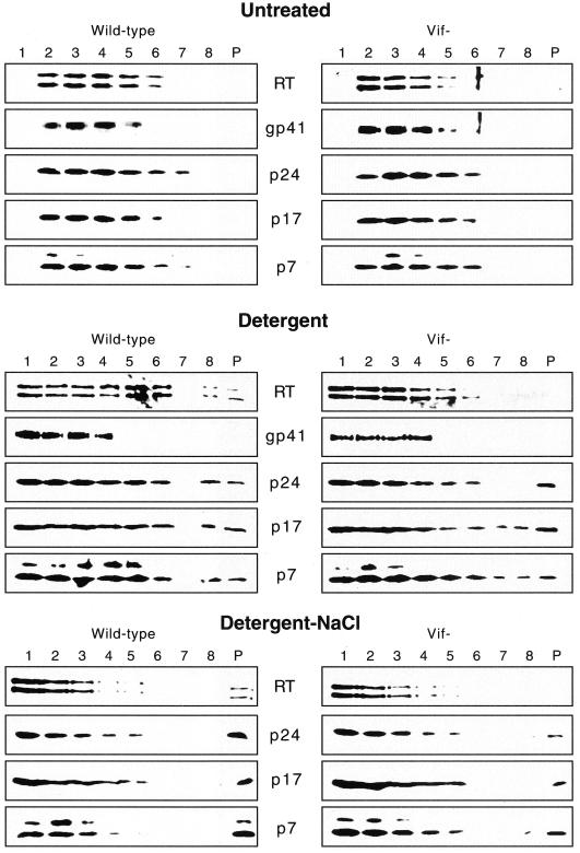 FIG. 7