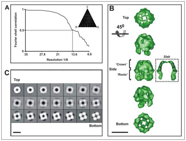 FIGURE 3