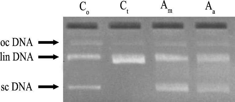 Fig. 2