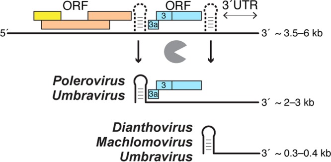 FIG 4