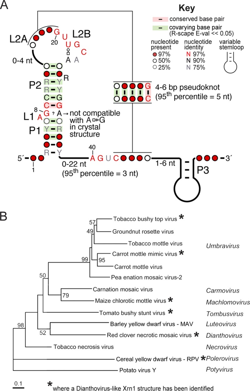 FIG 2