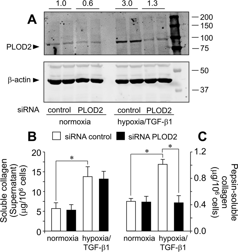 Figure 11.