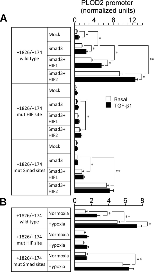 Figure 10.